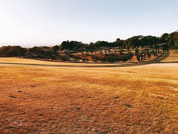 Scenic view of field against clear sky