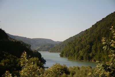 Scenic view of forest and mountains against sky