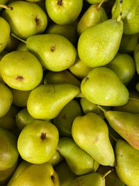Full frame of pears.