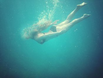 Jellyfish swimming in sea