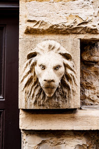 Close-up of animal representation