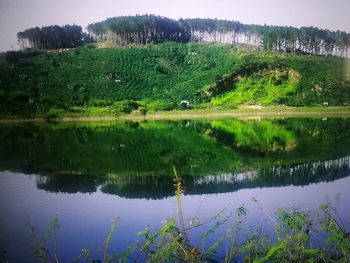 Scenic view of lake