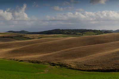 Scenic view of agricultural field against sky