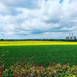 Scenic view of oilseed rape field against cloudy sky