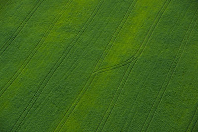 High angle view of agricultural field