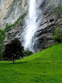 Scenic view of waterfall