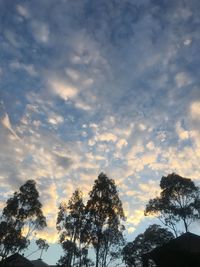 Low angle view of silhouette trees against sky during sunset