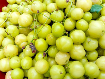 Full frame shot of fruits for sale in market