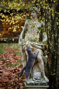 Statue of angel during autumn