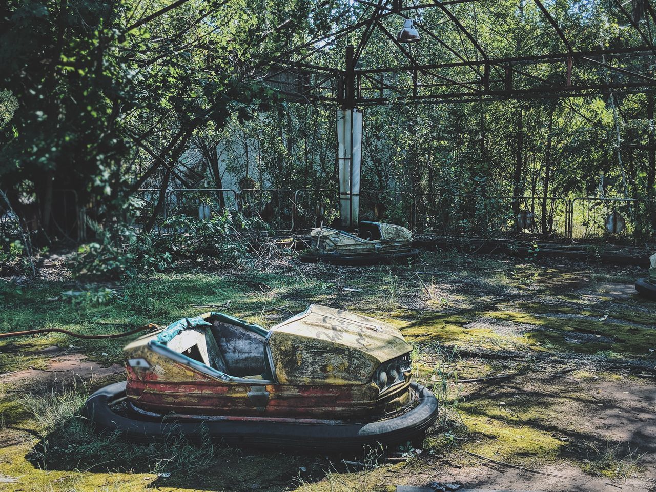 ABANDONED VEHICLE IN FOREST