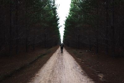 Woman walking on road