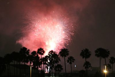 Low angle view of firework display at night