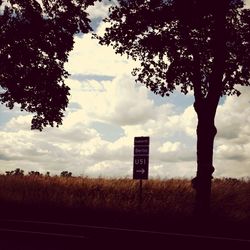 Trees on field against cloudy sky