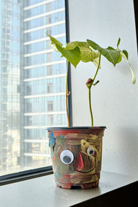 Close-up of potted plant on window sill