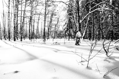 Bare trees on snow covered land during winter
