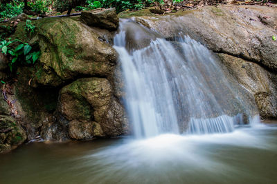 Scenic view of waterfall in forest