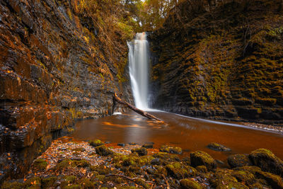 Scenic view of waterfall in forest