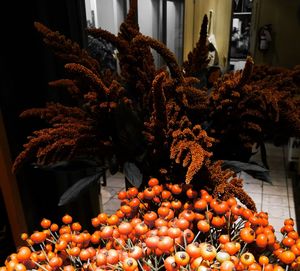 Orange fruits for sale in market