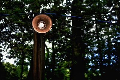 Low angle view of light bulb on electricity pylon against trees