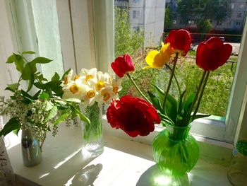 Close-up of tulip flowers in vase