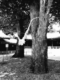 Built structure with trees in background