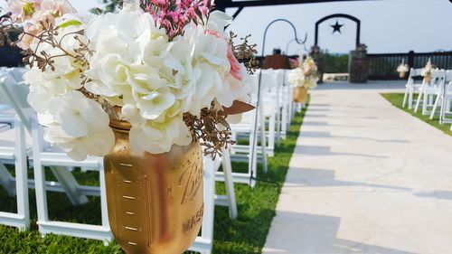 Close-up of white flowers