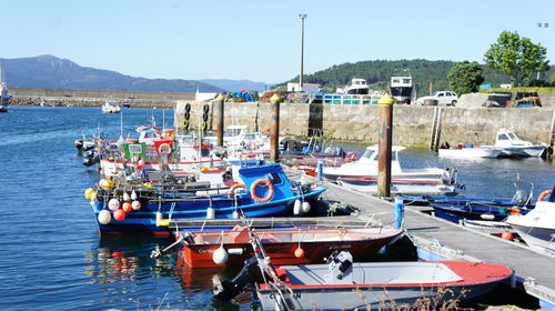 Boats moored at harbor