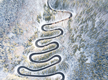 Aerial view of winding road in high mountain pass trough pine woods snowed