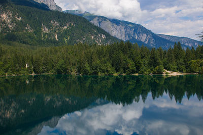 View of beautiful tovel lake in trentino, italy