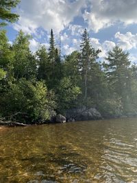 Scenic view of river flowing in forest against sky