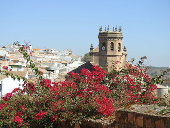 View of flowering plants by building against clear sky