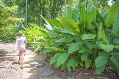 Full length of woman standing by plants