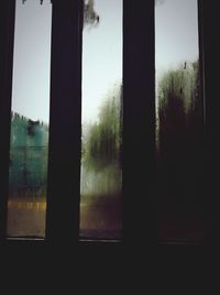 Trees seen through window