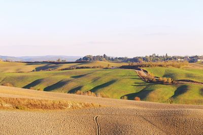 Scenic view of agricultural field against sky