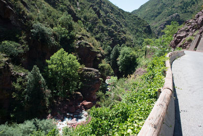 Panoramic view of road amidst trees and mountains