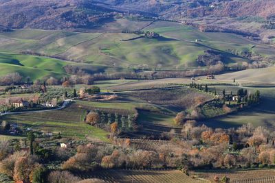 High angle view of agricultural field