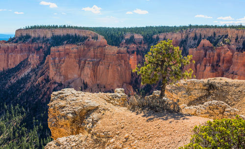 Rock formations in a desert