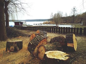 Close-up of log on field against sky