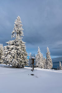 Snow covered trees on field against sky