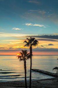 Silhouette palm trees at beach against sky during sunset