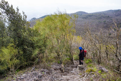 Rear view of man walking on road amidst trees