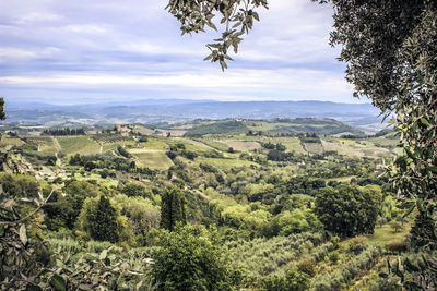 Scenic view of landscape against sky