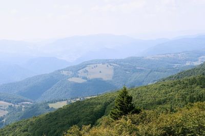 High angle view of trees and mountains against sky