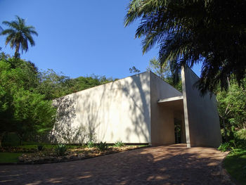 Footpath by palm trees against blue sky