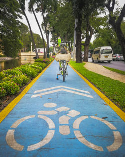 Man riding bicycle on road in city