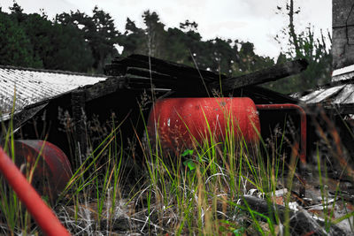 Red structure on grass