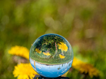 Close-up of crystal ball on glass