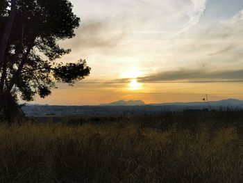 Scenic view of field against sky during sunset