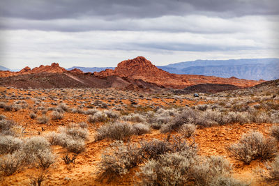 View of desert against cloudy sky