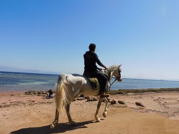 Man riding horse on beach